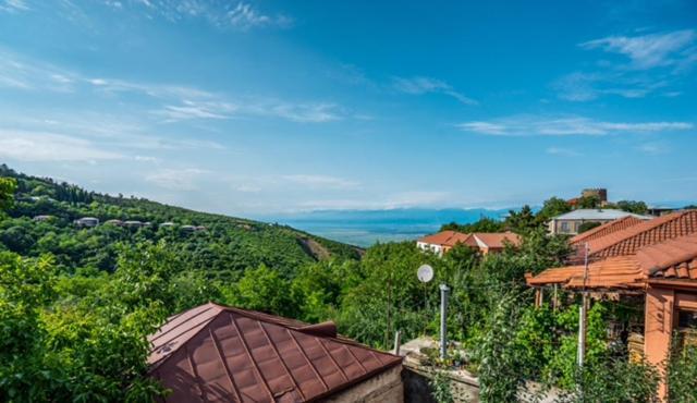 Dzveli Ubani Hotel Sighnaghi Luaran gambar
