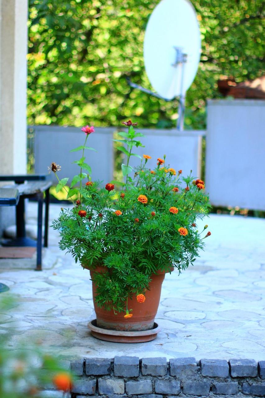 Dzveli Ubani Hotel Sighnaghi Luaran gambar